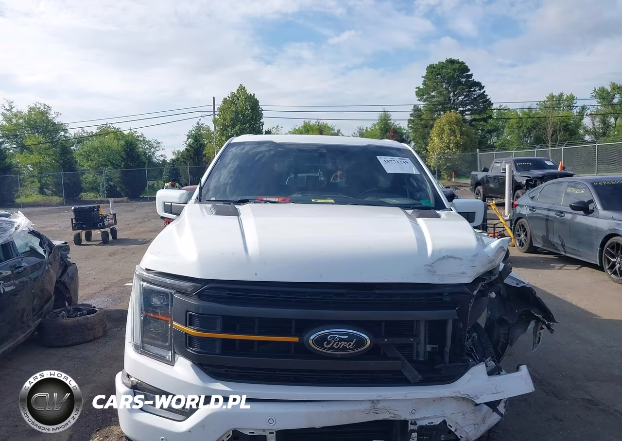 2022 Ford F-150 Tremor VIN:1FTEW1E85NFA82983 - 12