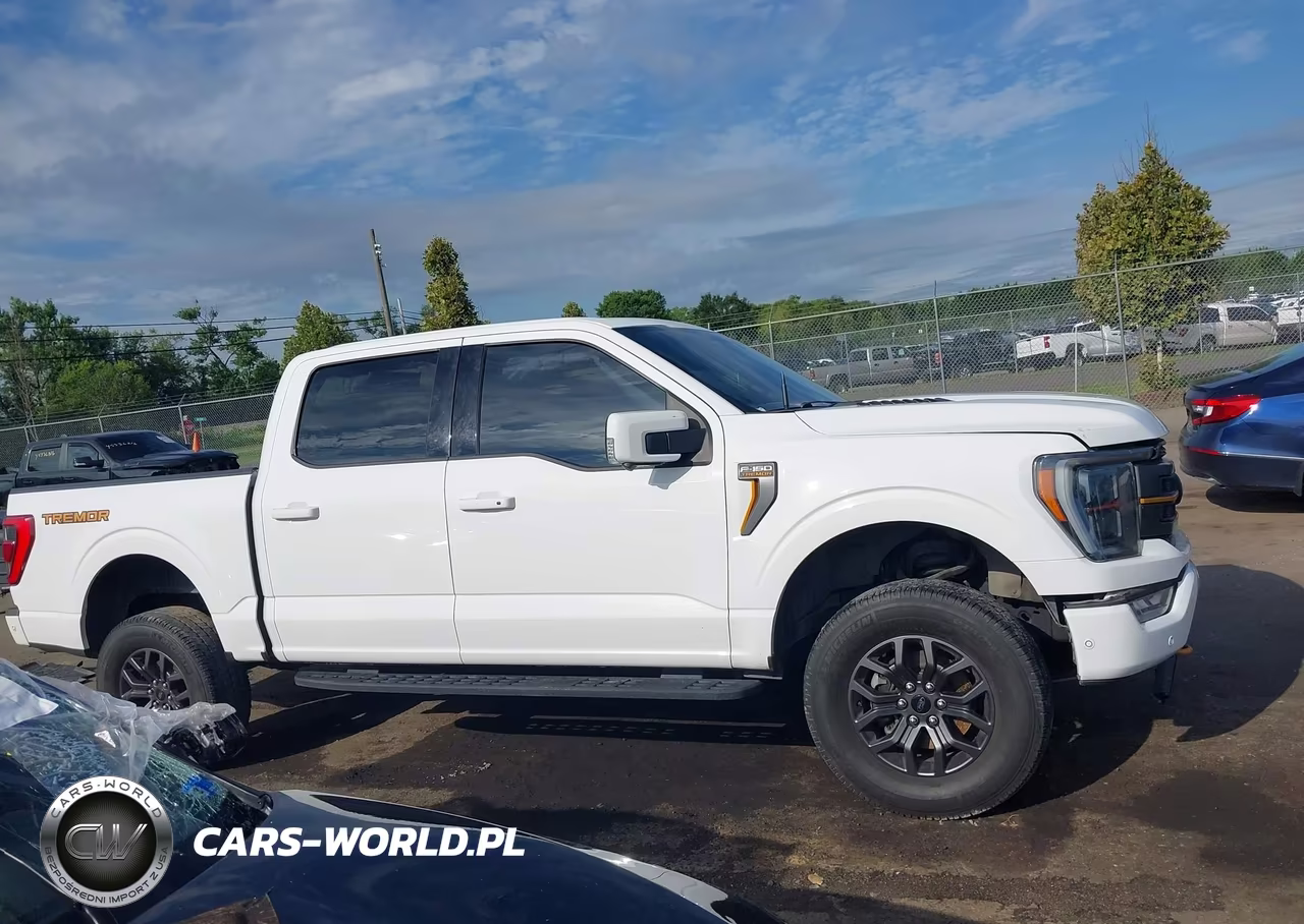 2022 Ford F-150 Tremor VIN:1FTEW1E85NFA82983 - 13