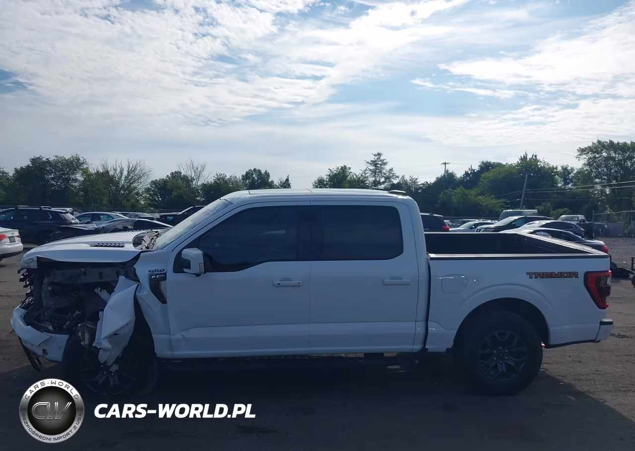 2022 Ford F-150 Tremor VIN:1FTEW1E85NFA82983 - 14