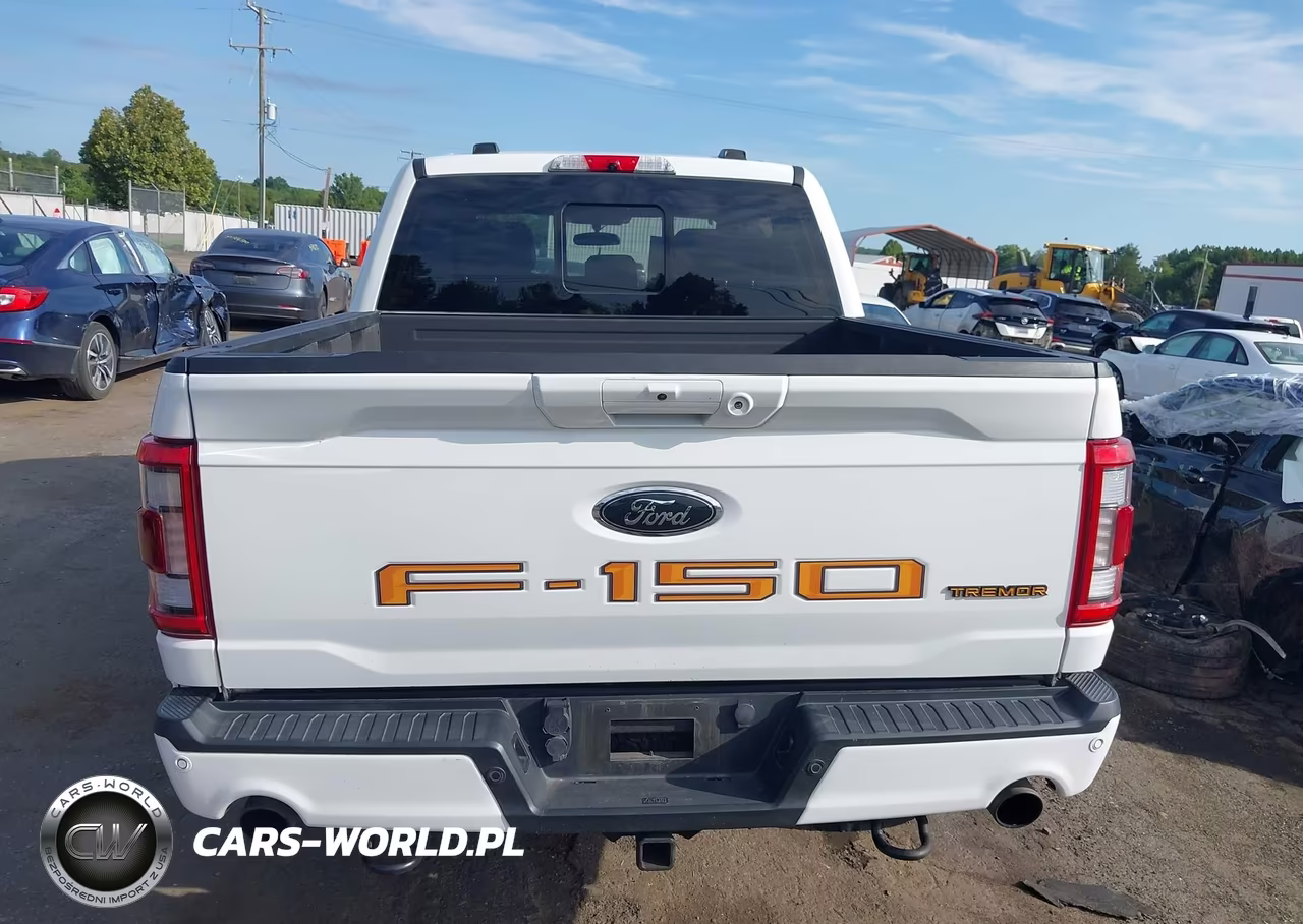 2022 Ford F-150 Tremor VIN:1FTEW1E85NFA82983 - 16