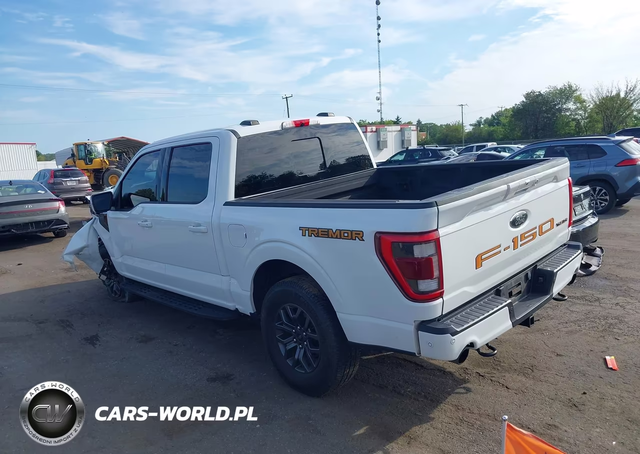 2022 Ford F-150 Tremor VIN:1FTEW1E85NFA82983 - 3