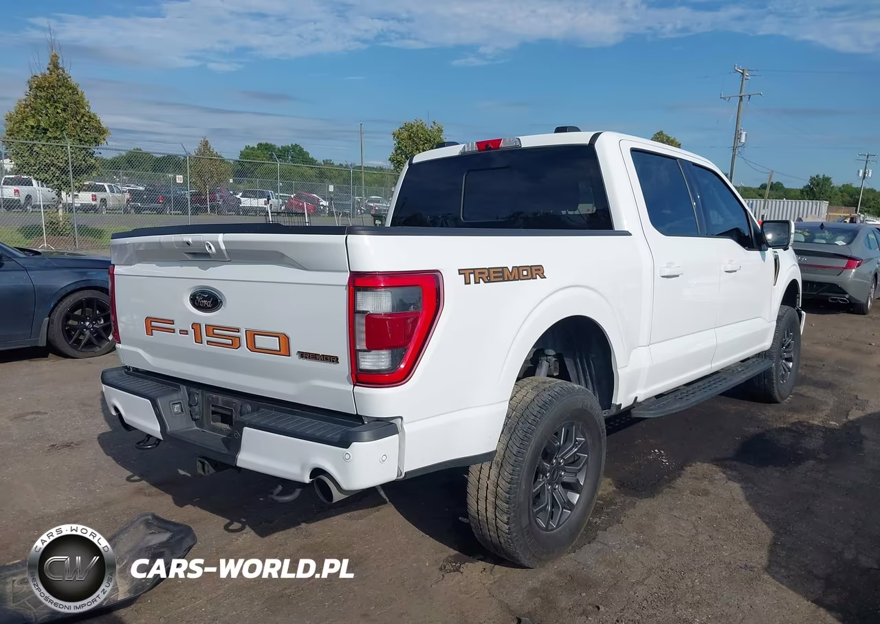 2022 Ford F-150 Tremor VIN:1FTEW1E85NFA82983 - 4