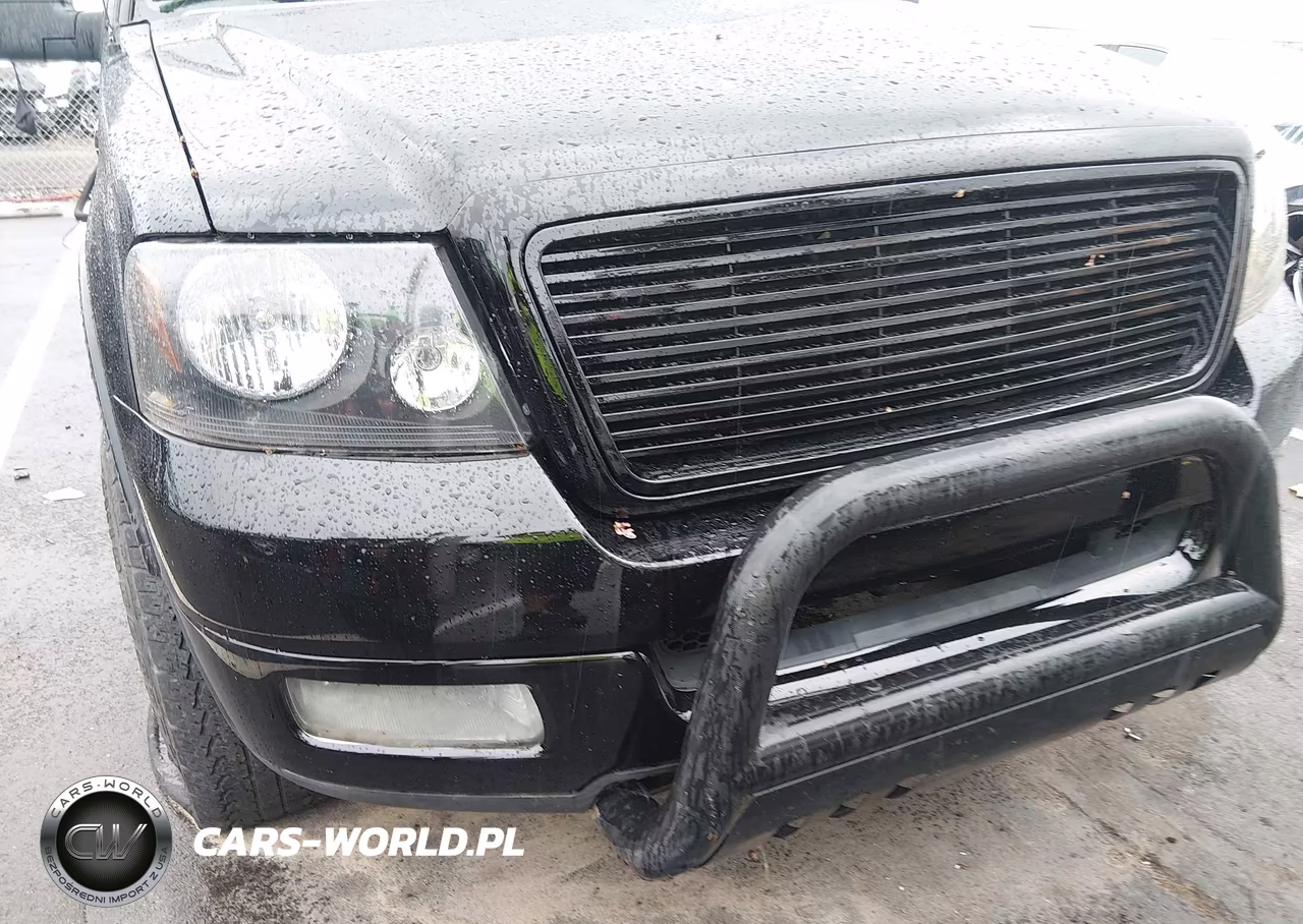 2005 Ford F-150 Fx4-Lariat-Xlt VIN:1FTPW14595KD48805 - 12