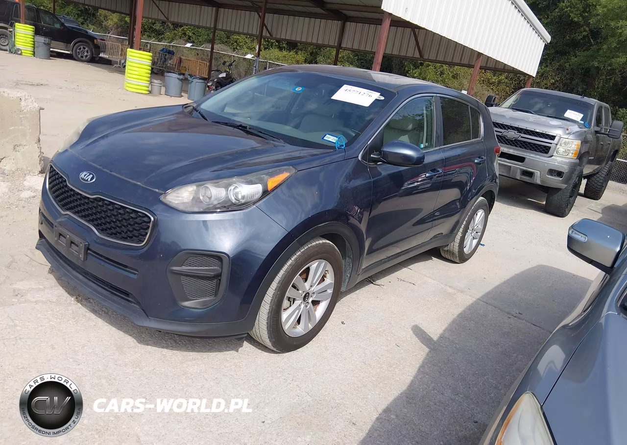 2017 Kia Sportage Lx VIN:KNDPM3AC8H7234256 - 2