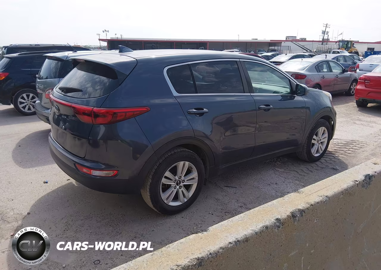 2017 Kia Sportage Lx VIN:KNDPM3AC8H7234256 - 4