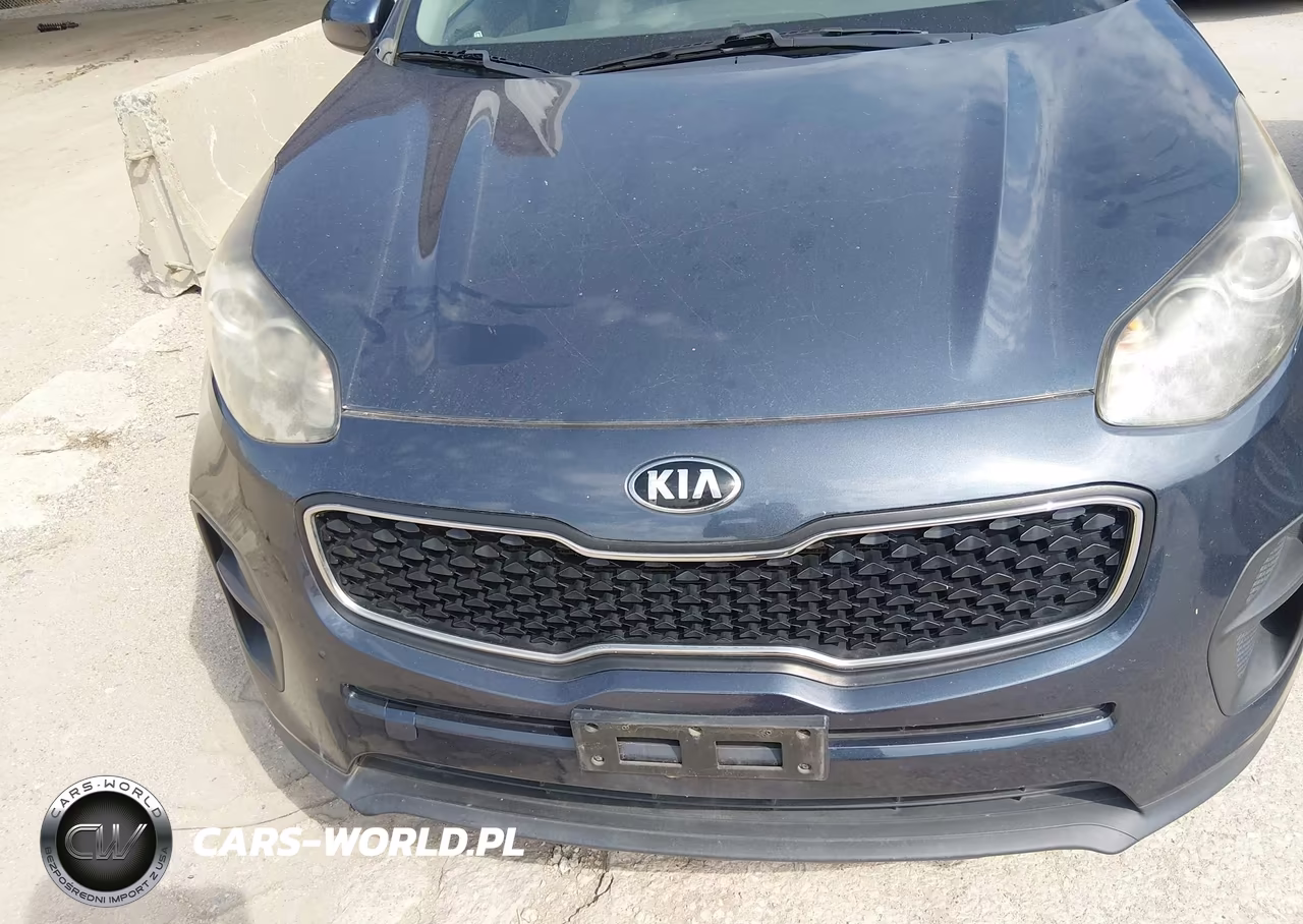 2017 Kia Sportage Lx VIN:KNDPM3AC8H7234256 - 6