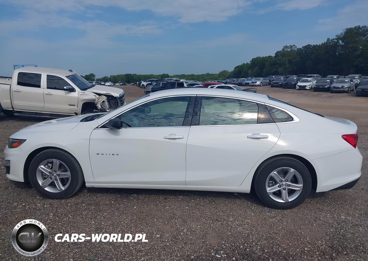 2020 Chevrolet Malibu Fwd 1Fl VIN:1G1ZC5STXLF138559 - 19