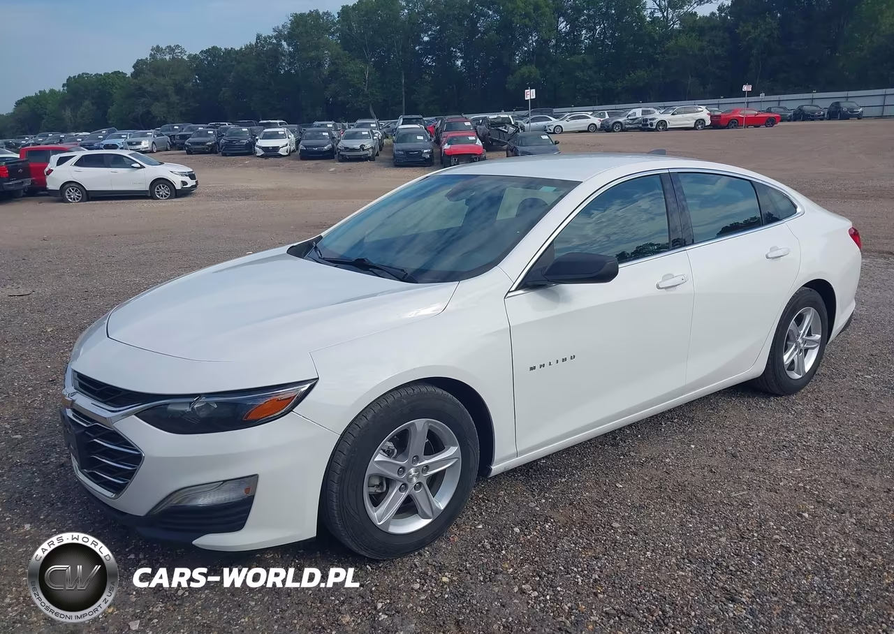 2020 Chevrolet Malibu Fwd 1Fl VIN:1G1ZC5STXLF138559 - 2