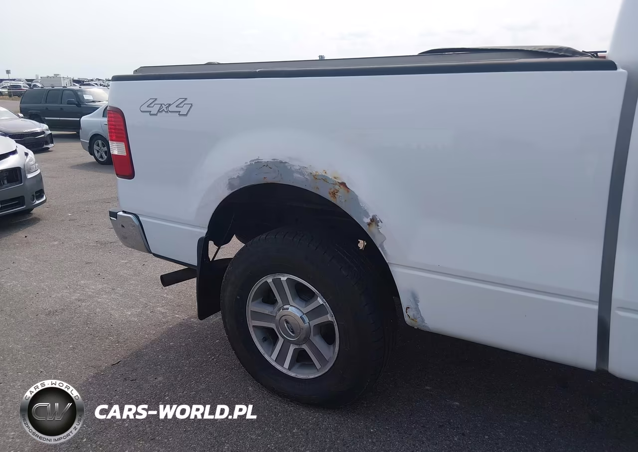 2006 Ford F-150 Fx4-Lariat-Xl-Xlt VIN:1FTPX14V56FB66901 - 6