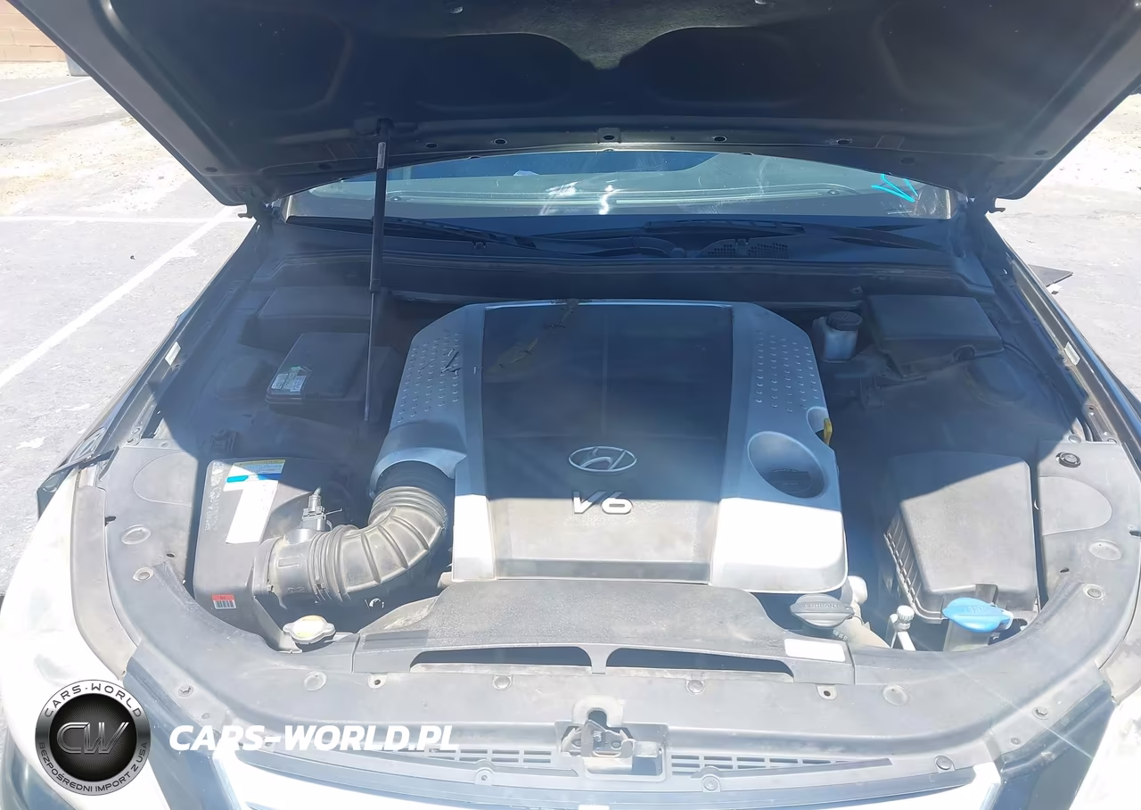 2011 Hyundai Genesis 3.8 VIN:KMHGC4DE8BU115732 - 10