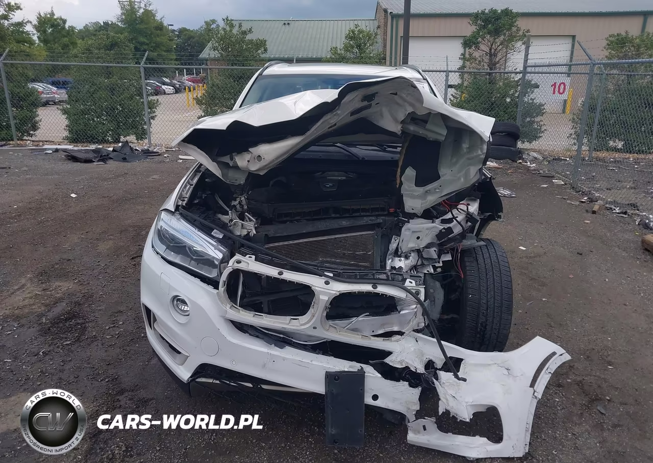 2016 BMW X5 xDrive50I VIN:5UXKR6C58G0J82385 - 12