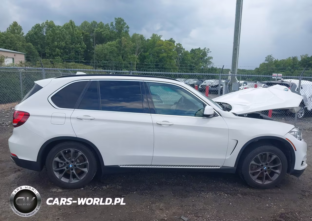 2016 BMW X5 xDrive50I VIN:5UXKR6C58G0J82385 - 13