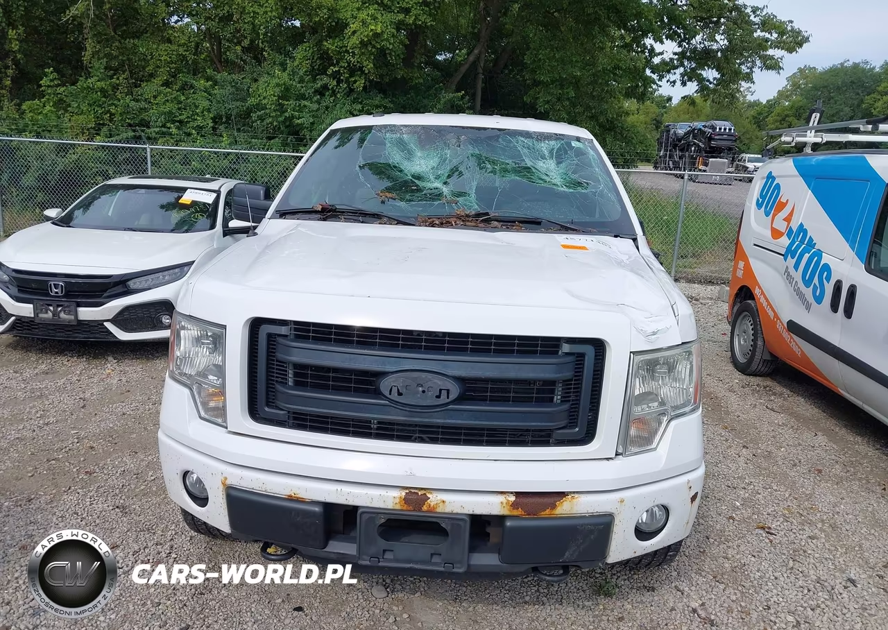 2014 Ford F-150 Stx VIN:1FTFX1EFXEKD90156 - 12