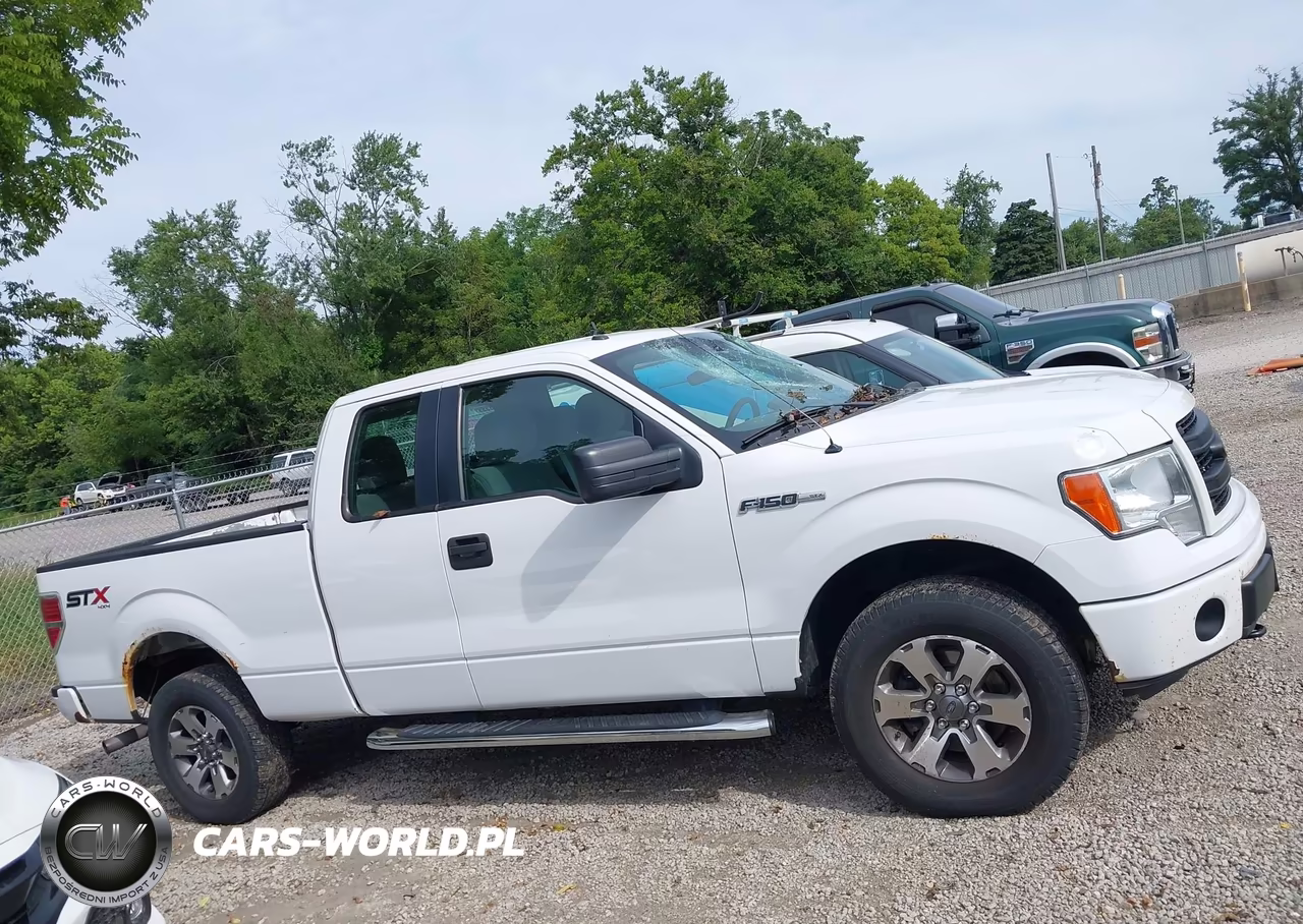 2014 Ford F-150 Stx VIN:1FTFX1EFXEKD90156 - 13