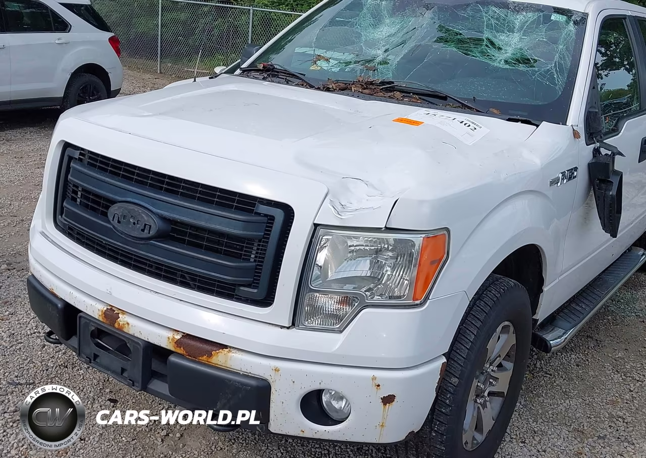 2014 Ford F-150 Stx VIN:1FTFX1EFXEKD90156 - 18
