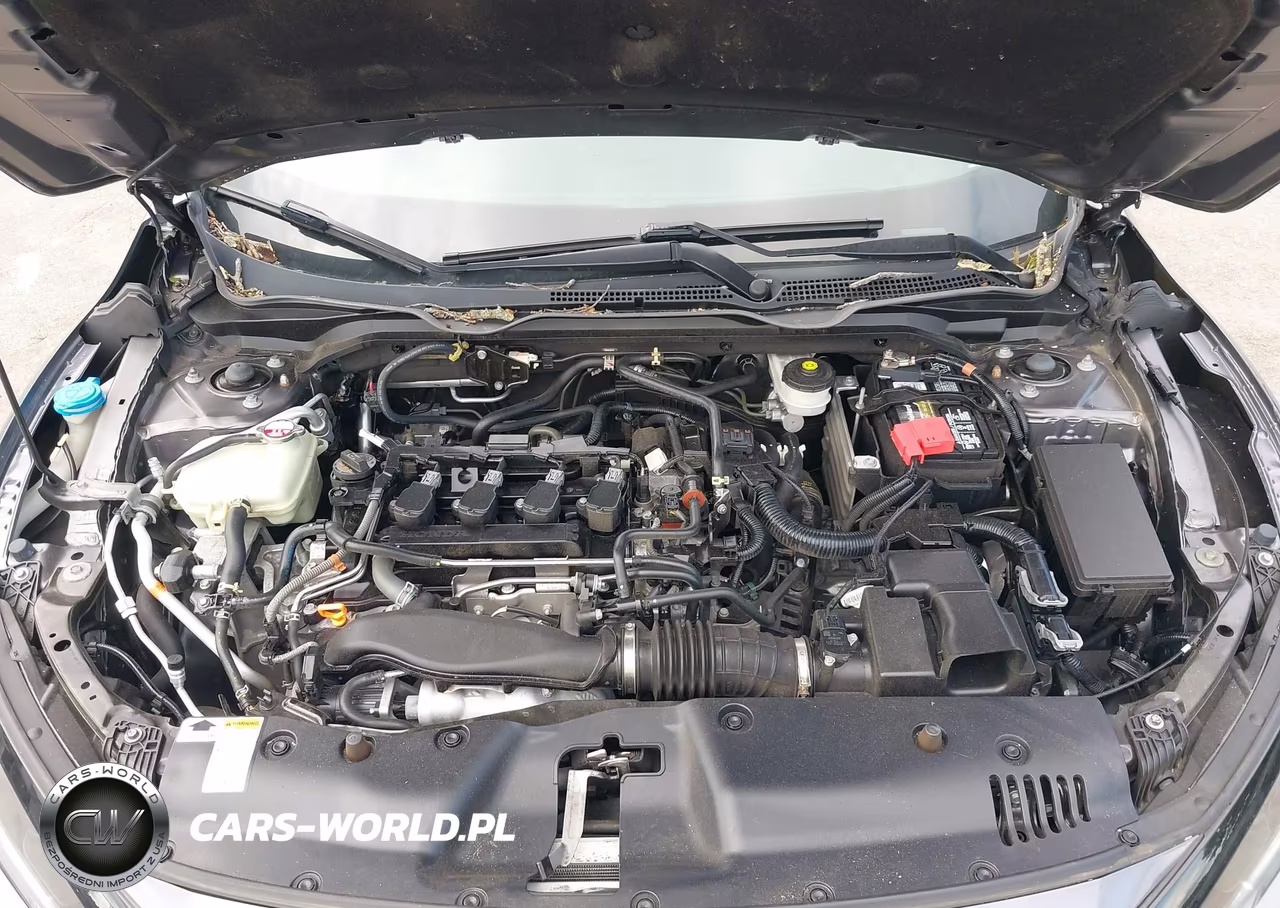2021 Honda Civic Ex-L VIN:2HGFC1F79MH703255 - 10