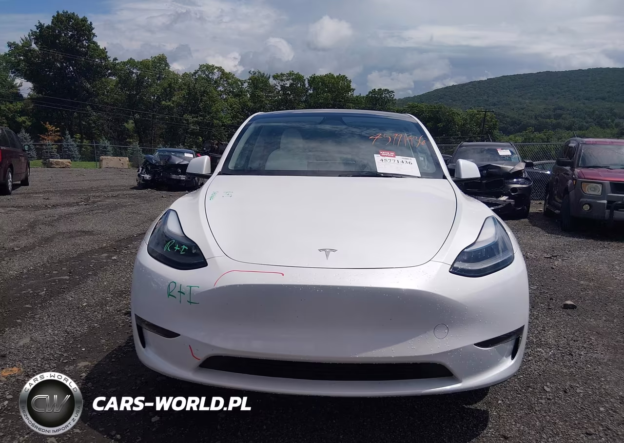 2024 Tesla Model Y Long Range Dual Motor All-Wheel Drive VIN:7SAYGAEE5RF993361 - 13