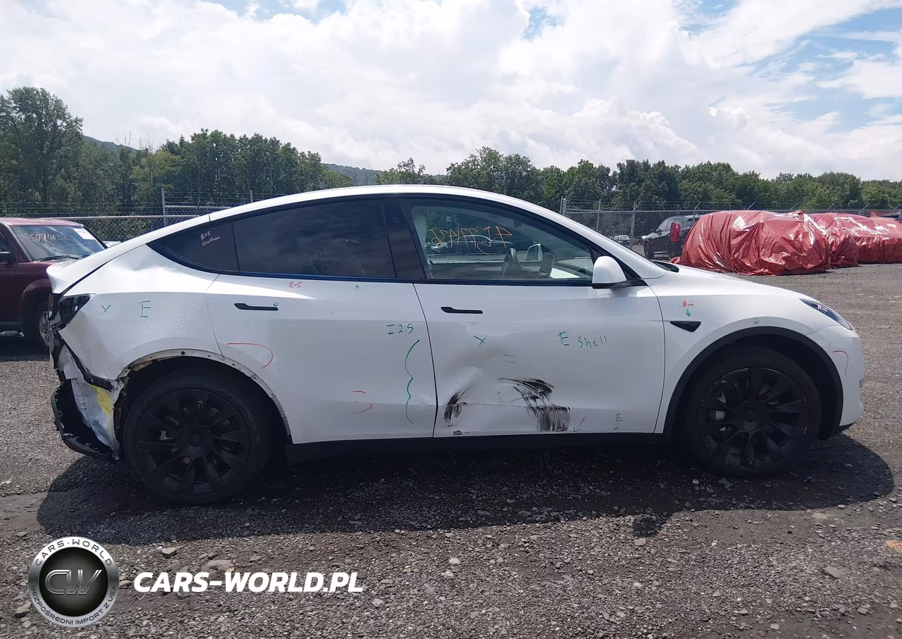 2024 Tesla Model Y Long Range Dual Motor All-Wheel Drive VIN:7SAYGAEE5RF993361 - 14