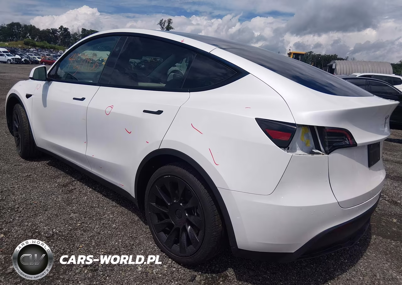 2024 Tesla Model Y Long Range Dual Motor All-Wheel Drive VIN:7SAYGAEE5RF993361 - 3