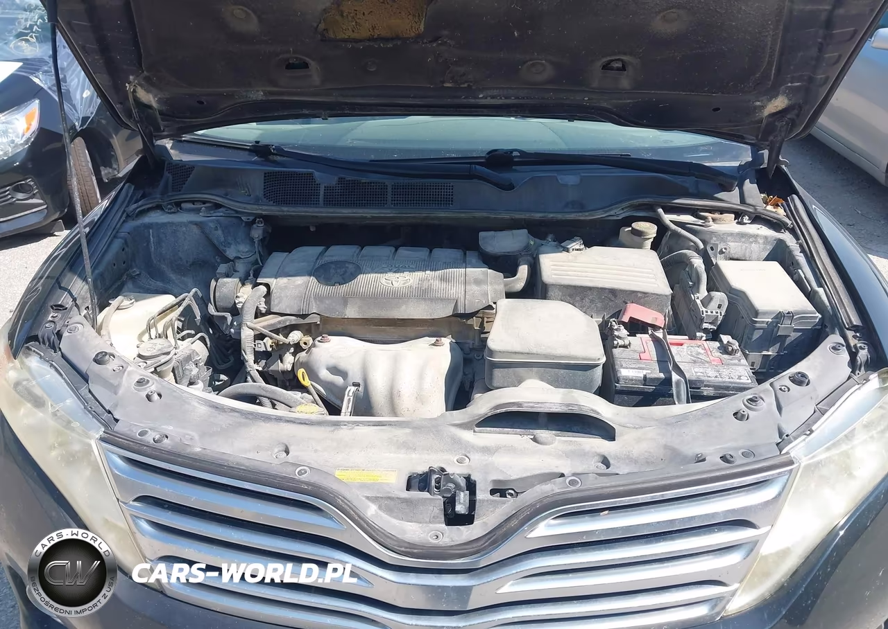 2009 Toyota Venza VIN:4T3ZE11A09U010381 - 10