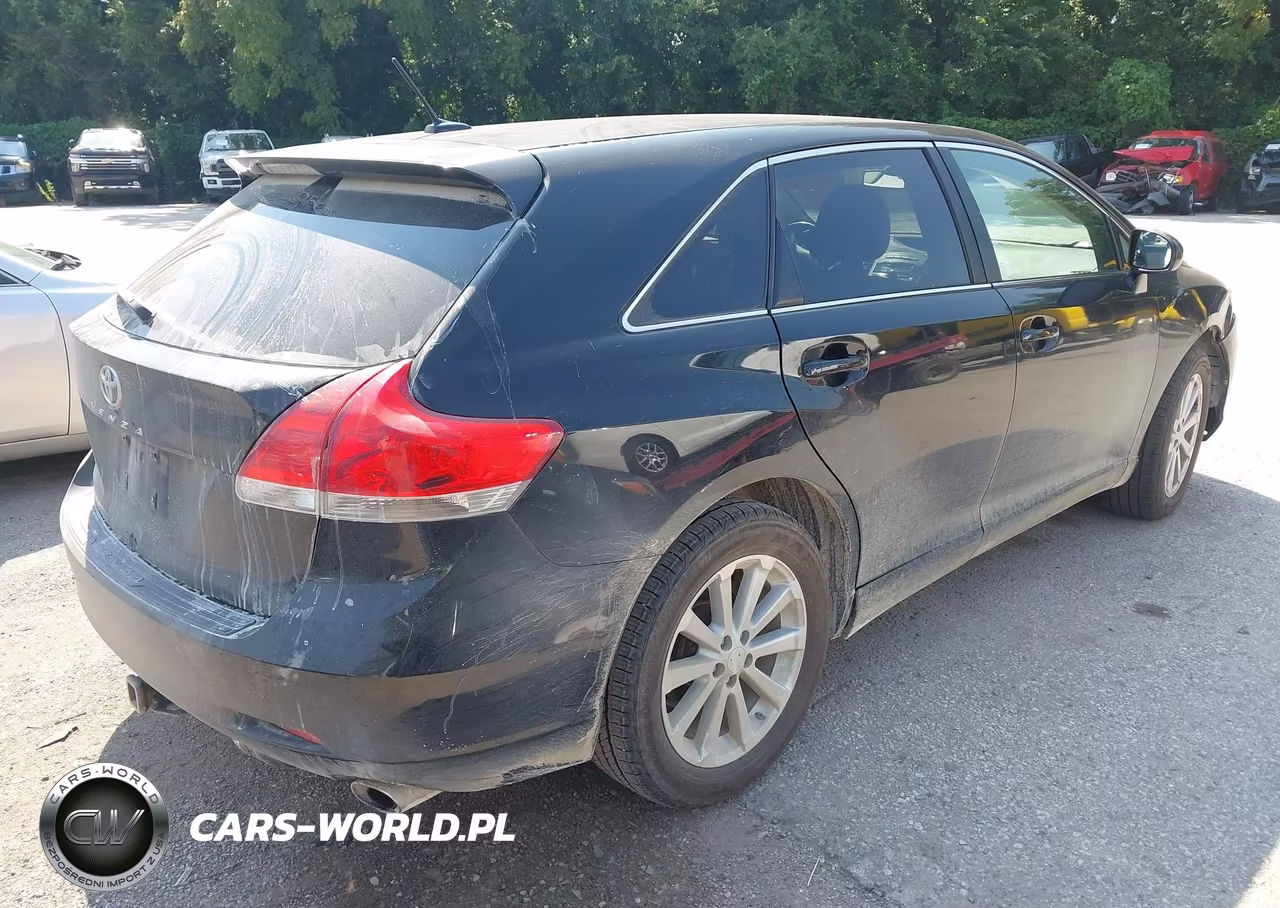 2009 Toyota Venza VIN:4T3ZE11A09U010381 - 4