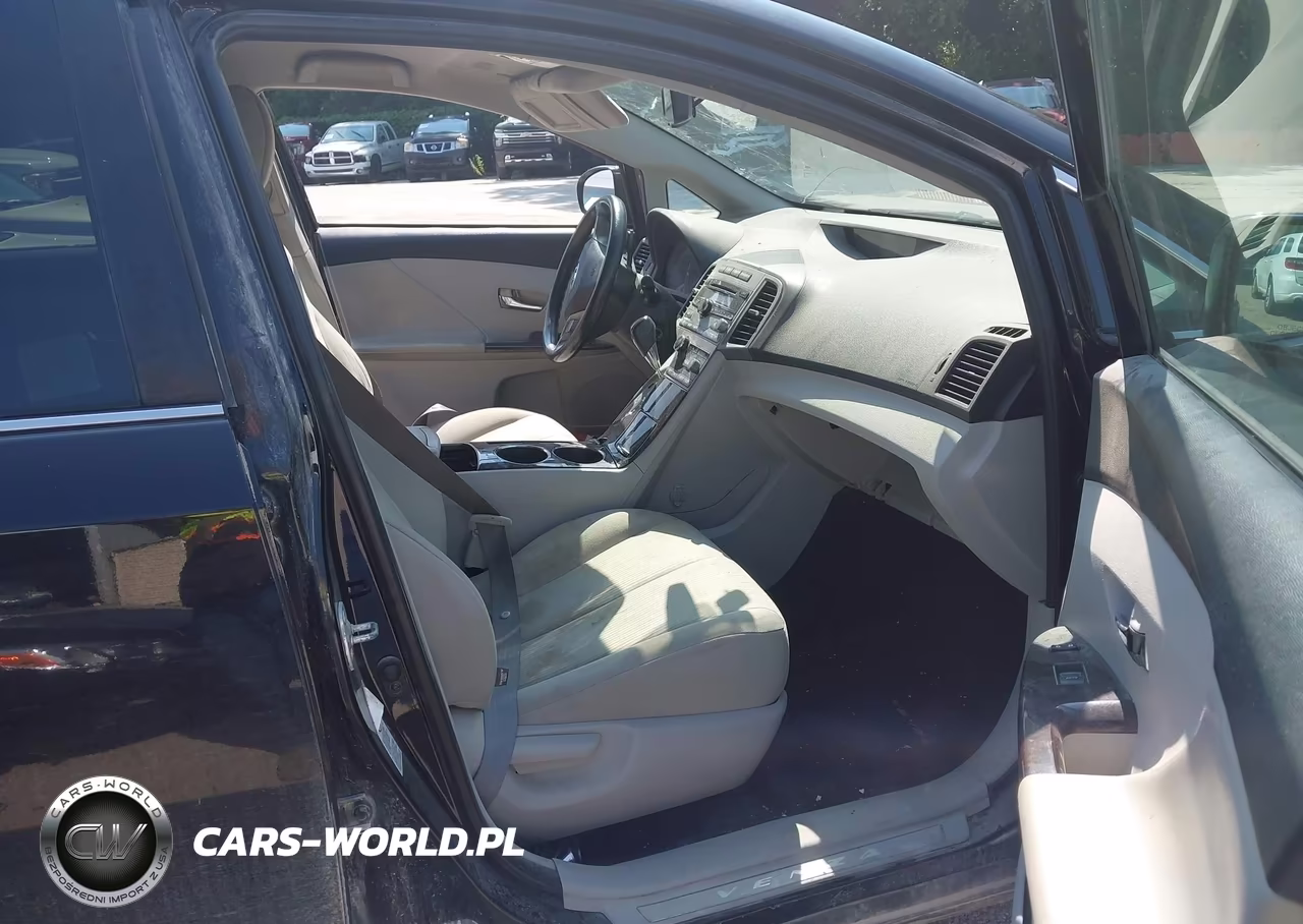2009 Toyota Venza VIN:4T3ZE11A09U010381 - 5