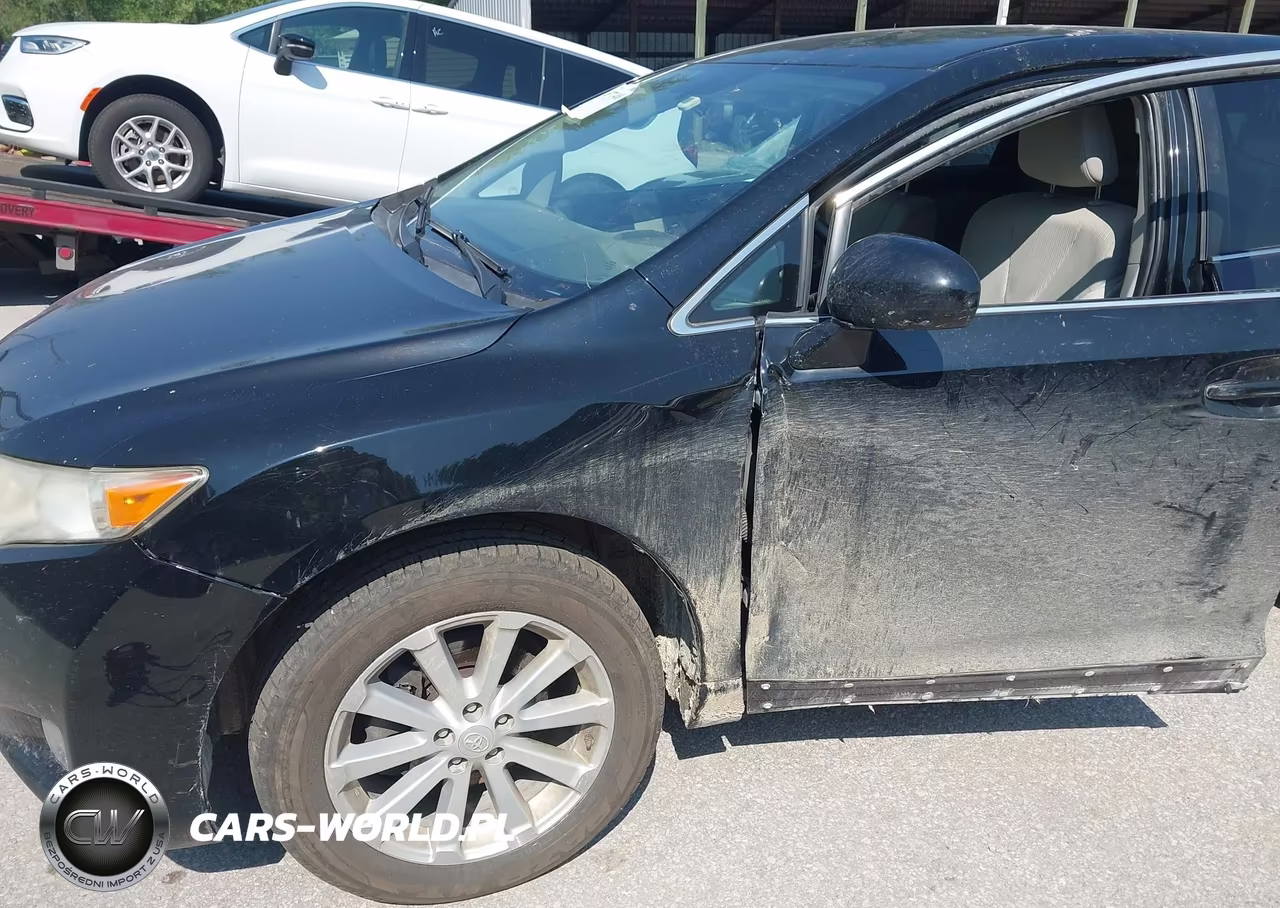 2009 Toyota Venza VIN:4T3ZE11A09U010381 - 6