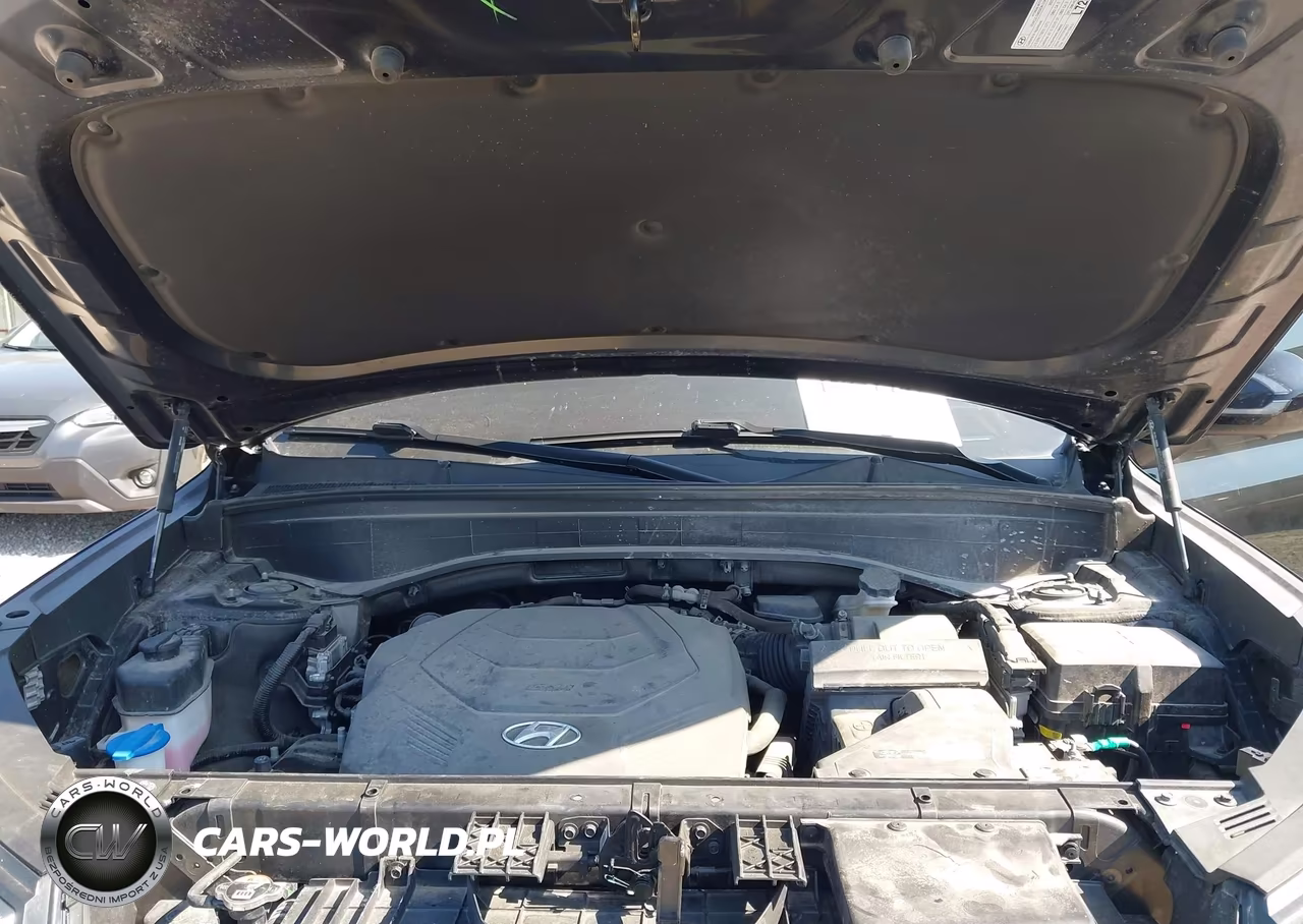 2023 Hyundai Palisade Limited VIN:KM8R5DGE1PU565468 - 10