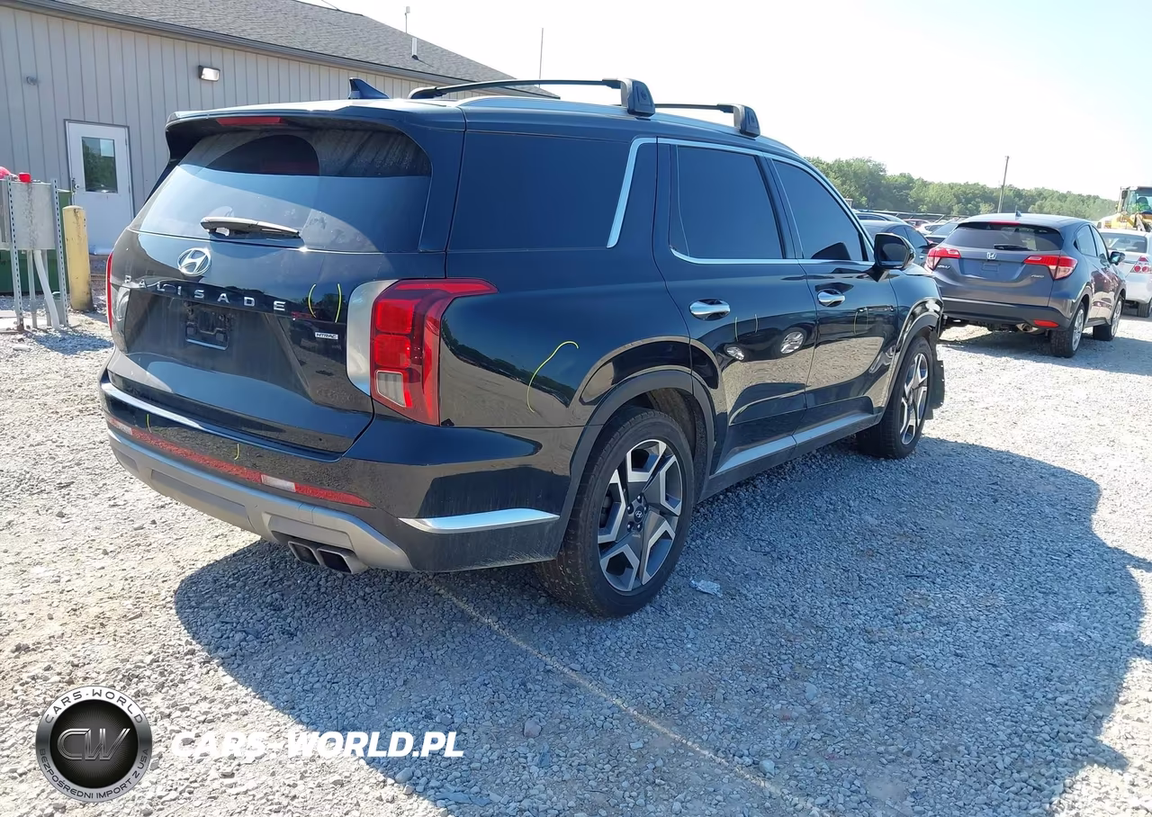 2023 Hyundai Palisade Limited VIN:KM8R5DGE1PU565468 - 4