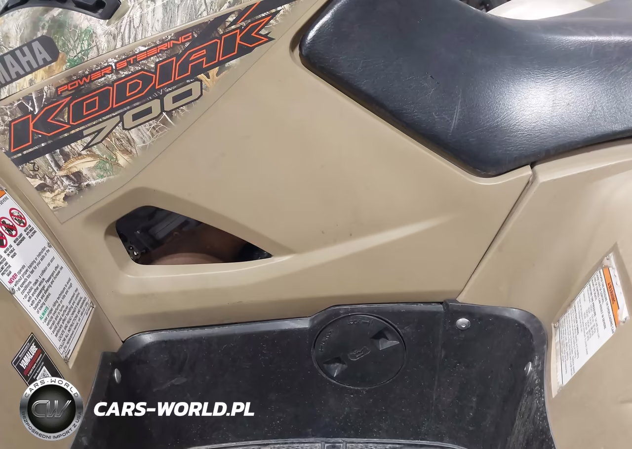 2023 Yamaha Yfm700 VIN:5Y4AMH6E2PA100705 - 9