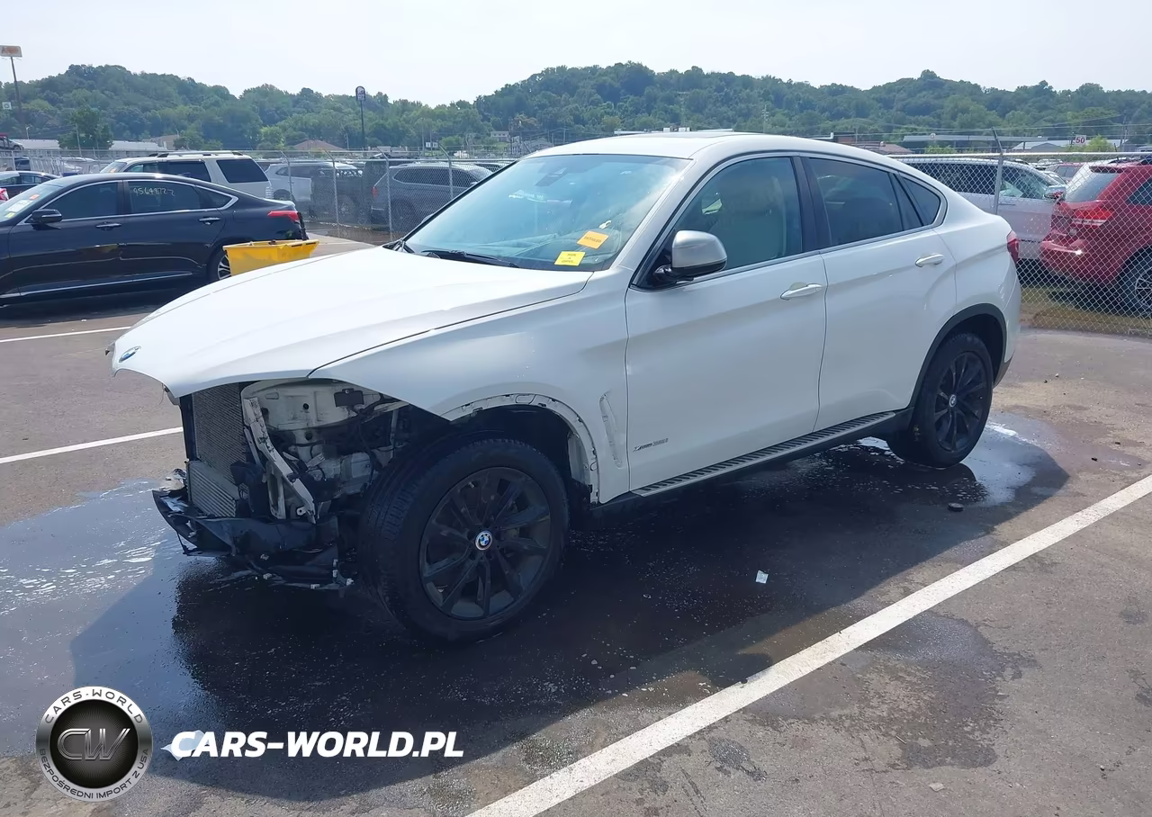 2015 BMW X6 xDrive35I VIN:5UXKU2C57F0F94824 - 2