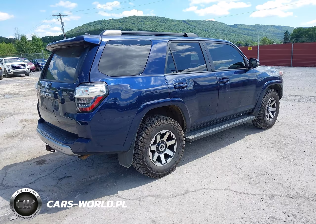 2020 Toyota 4Runner Trd Off Road Premium VIN:JTEBU5JR5L5760564 - 4