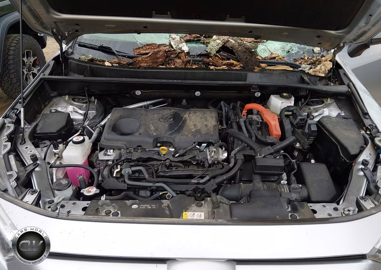 2025 Toyota Rav4 Hybrid Xle VIN:JTMRWRFV5SJ062438 - 10