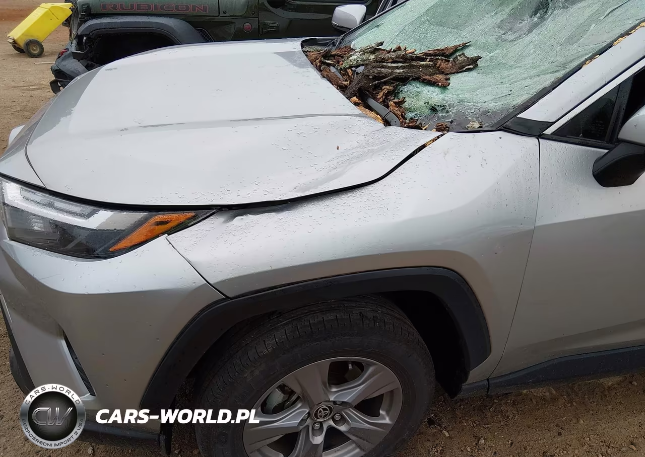 2025 Toyota Rav4 Hybrid Xle VIN:JTMRWRFV5SJ062438 - 6