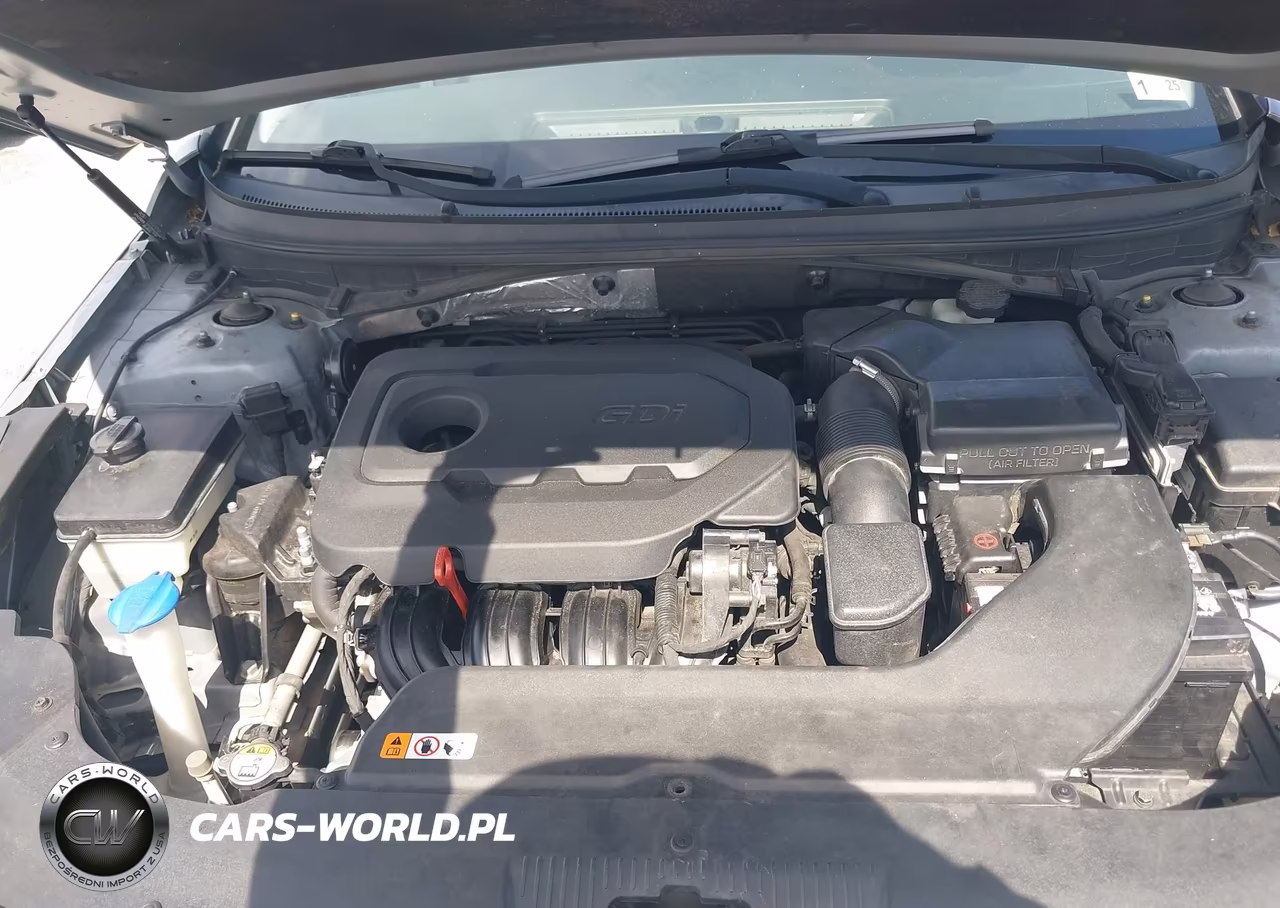 2016 Hyundai Sonata Sport VIN:5NPE34AF5GH289297 - 10