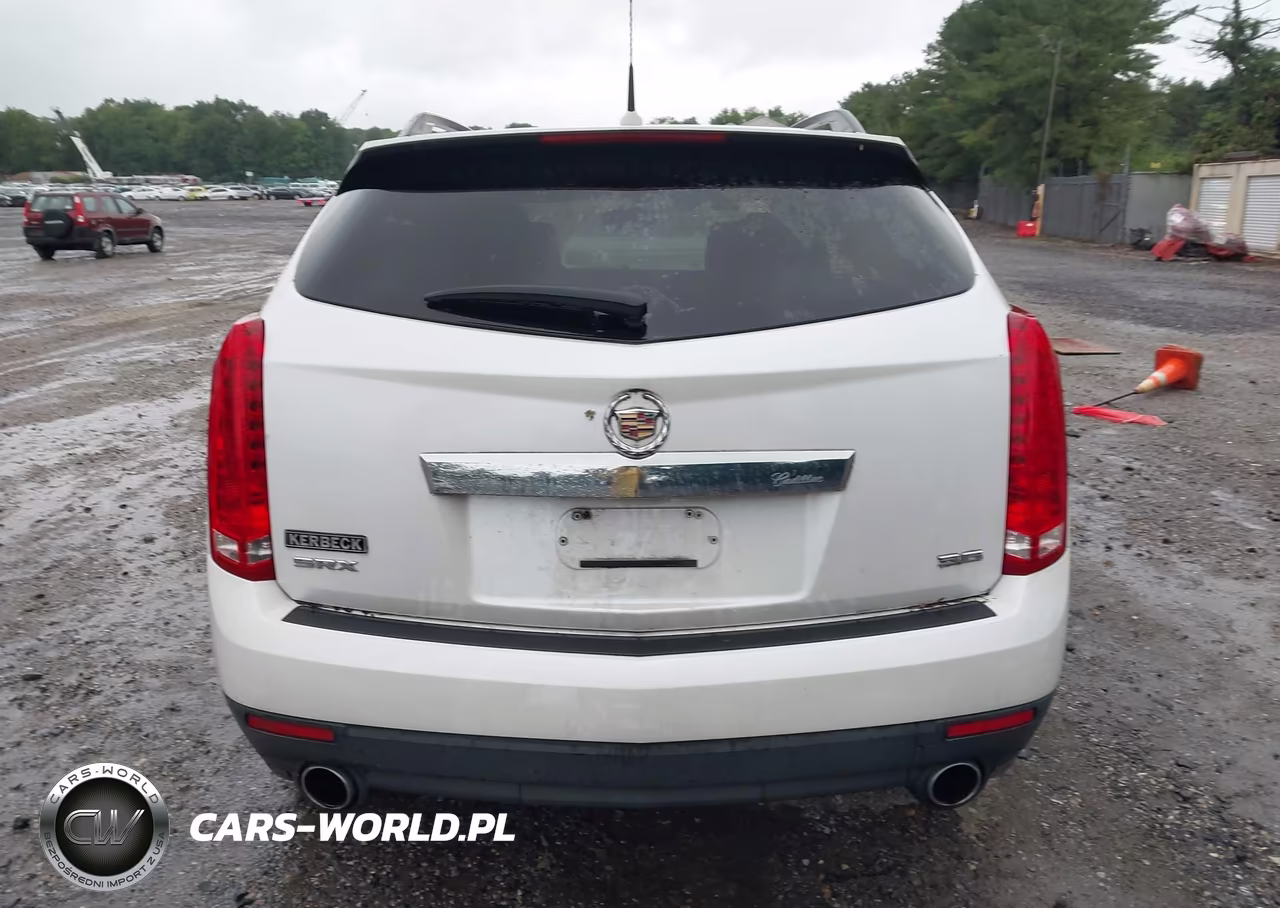 2013 Cadillac Srx Standard VIN:3GYFNAE39DS530612 - 16