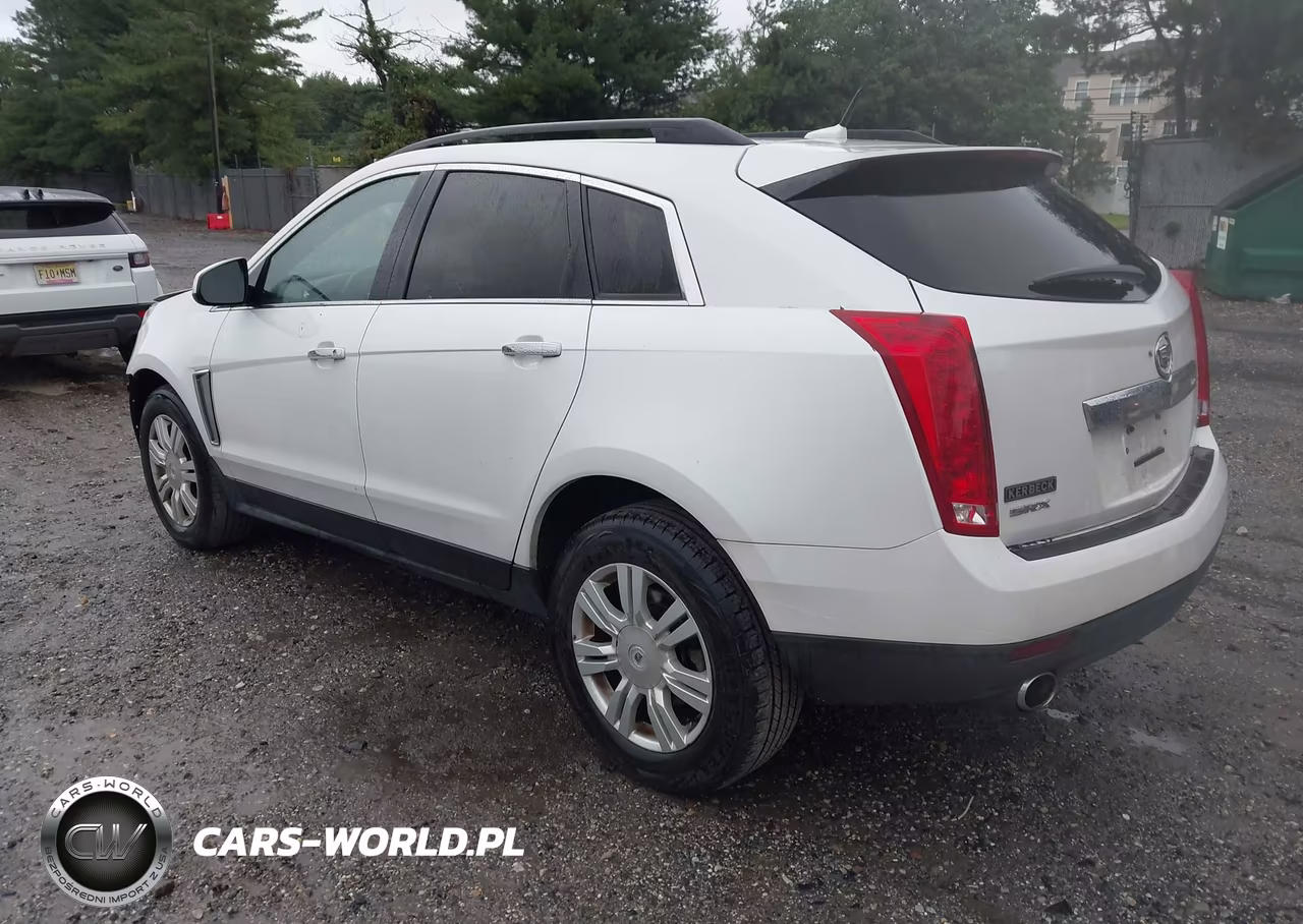 2013 Cadillac Srx Standard VIN:3GYFNAE39DS530612 - 3