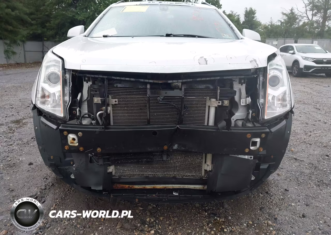 2013 Cadillac Srx Standard VIN:3GYFNAE39DS530612 - 6
