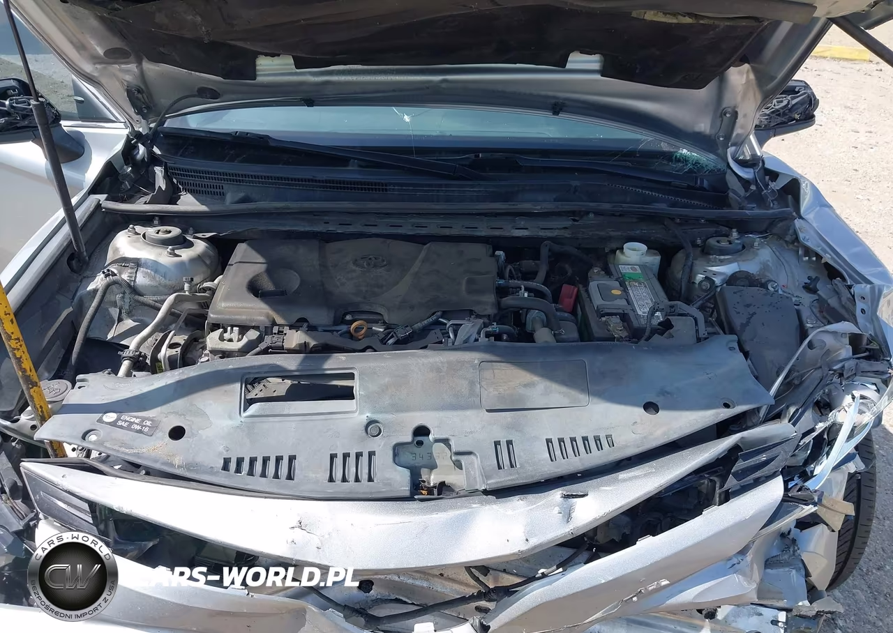 2019 Toyota Camry Le VIN:4T1B11HK2KU167338 - 10