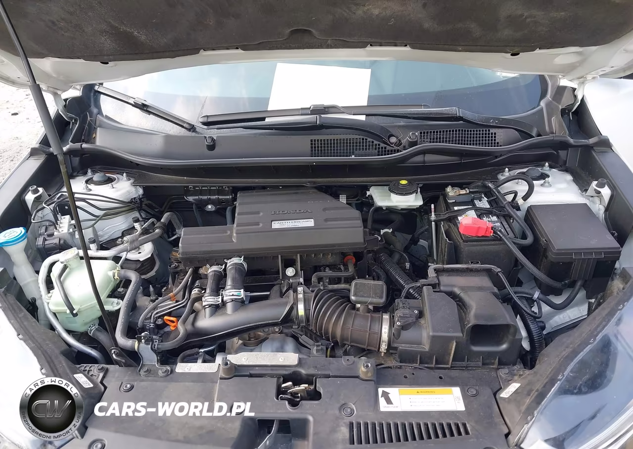 2019 Honda Cr-V Ex VIN:5J6RW1H54KA031190 - 10
