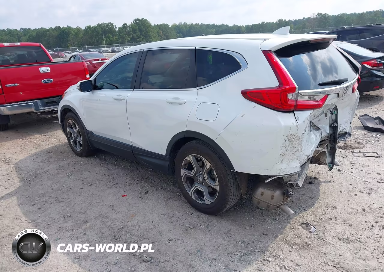 2019 Honda Cr-V Ex VIN:5J6RW1H54KA031190 - 3