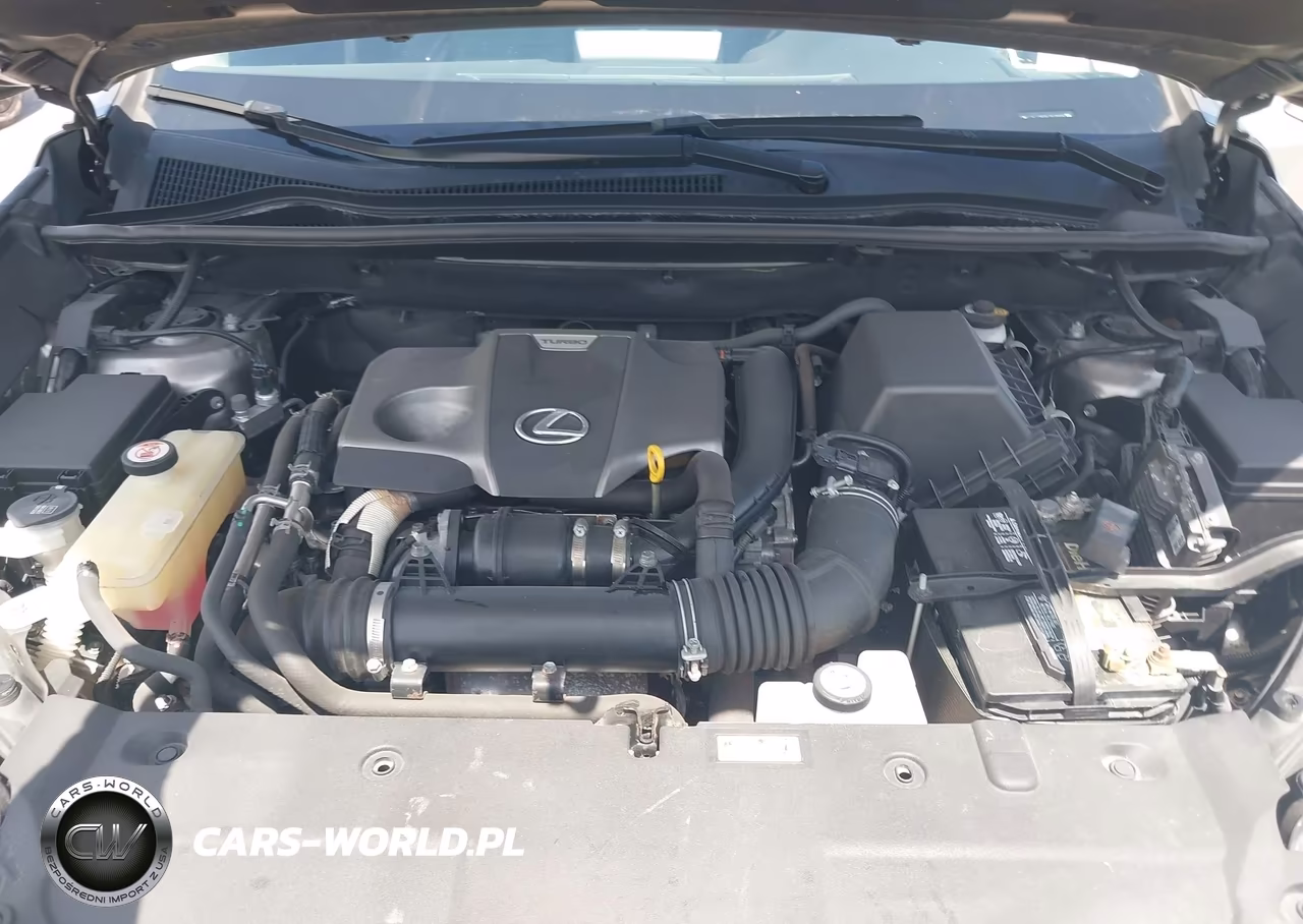 2020 Lexus Nx 300 Base VIN:JTJAARDZ8L5015977 - 10