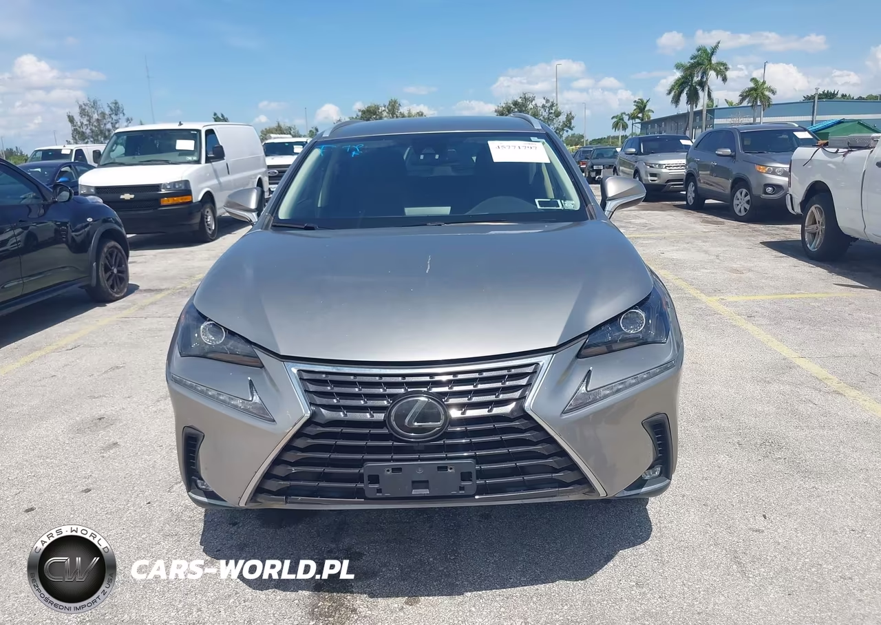 2020 Lexus Nx 300 Base VIN:JTJAARDZ8L5015977 - 12