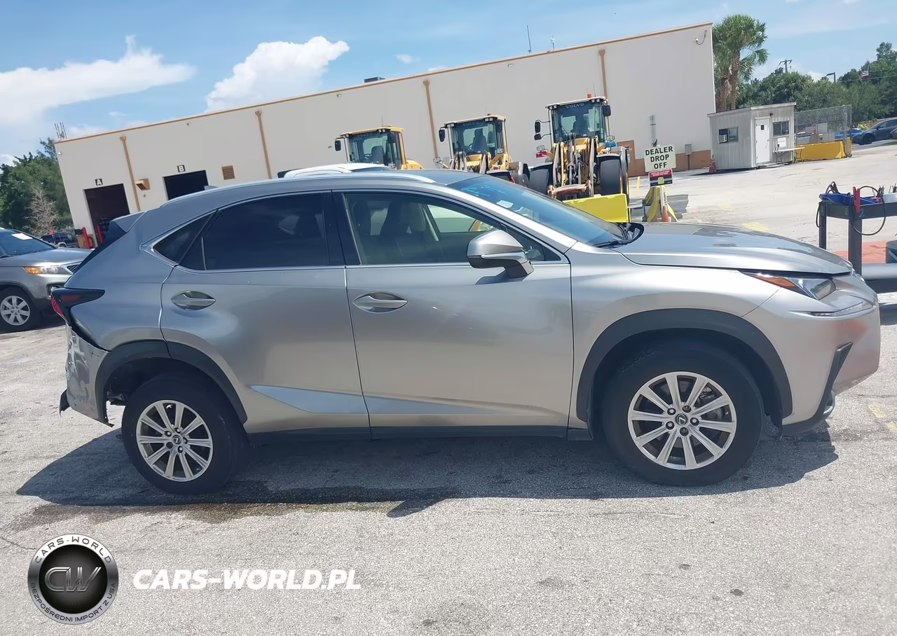 2020 Lexus Nx 300 Base VIN:JTJAARDZ8L5015977 - 13