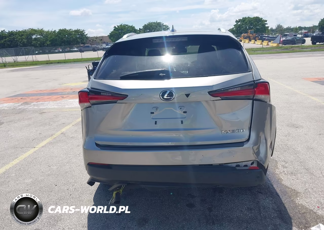 2020 Lexus Nx 300 Base VIN:JTJAARDZ8L5015977 - 16