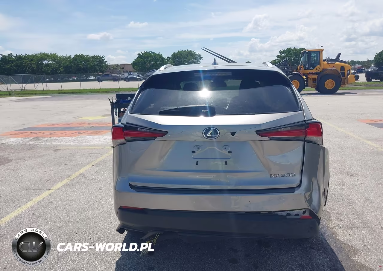 2020 Lexus Nx 300 Base VIN:JTJAARDZ8L5015977 - 17