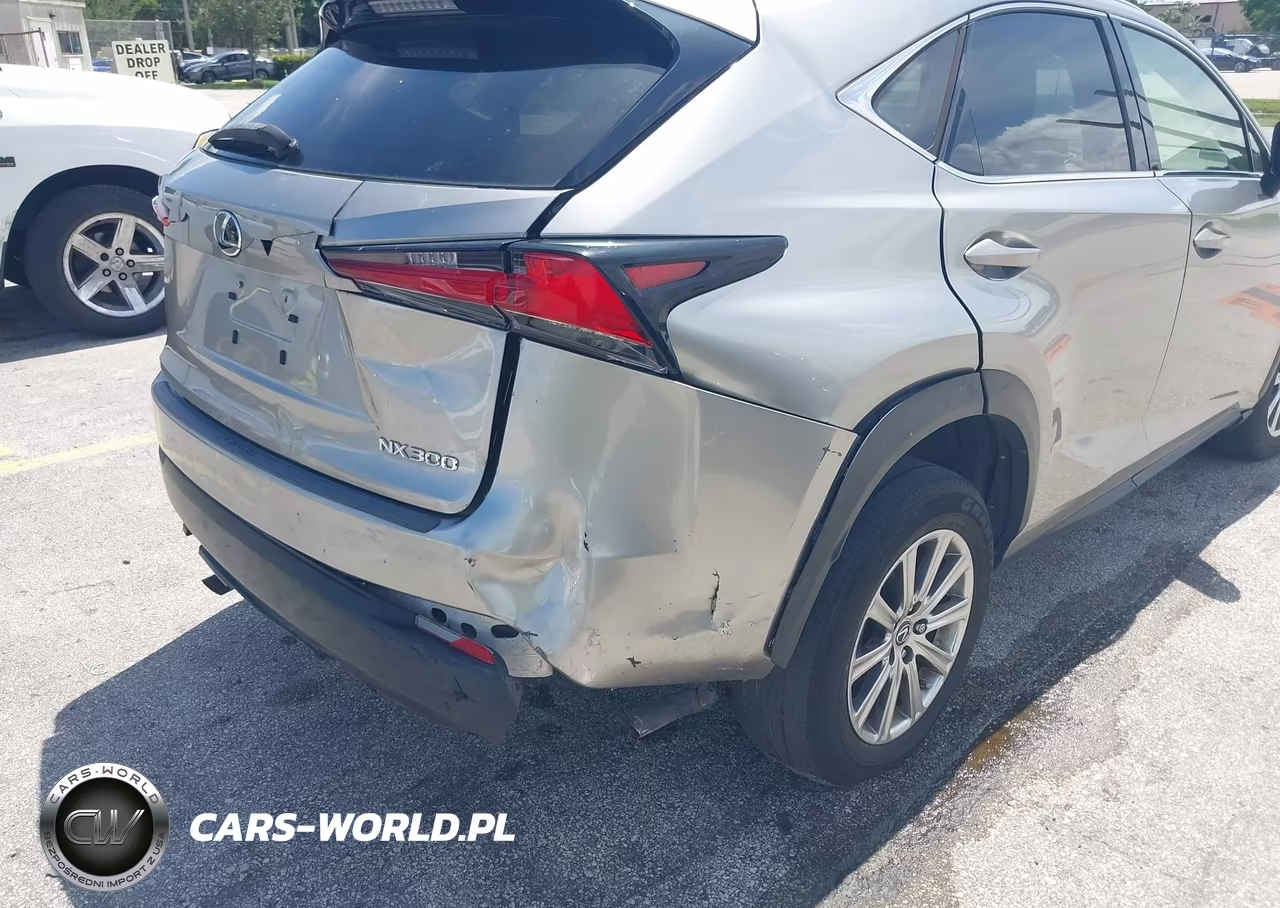 2020 Lexus Nx 300 Base VIN:JTJAARDZ8L5015977 - 18