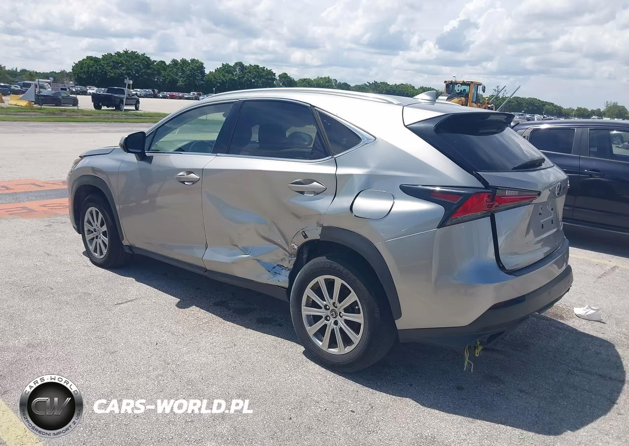 2020 Lexus Nx 300 Base VIN:JTJAARDZ8L5015977 - 3