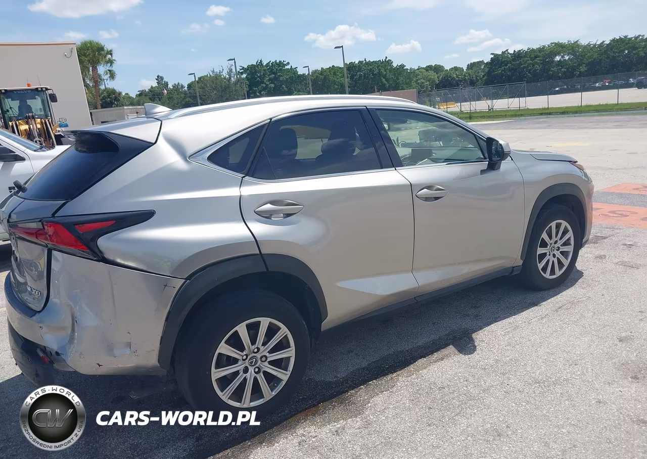 2020 Lexus Nx 300 Base VIN:JTJAARDZ8L5015977 - 4