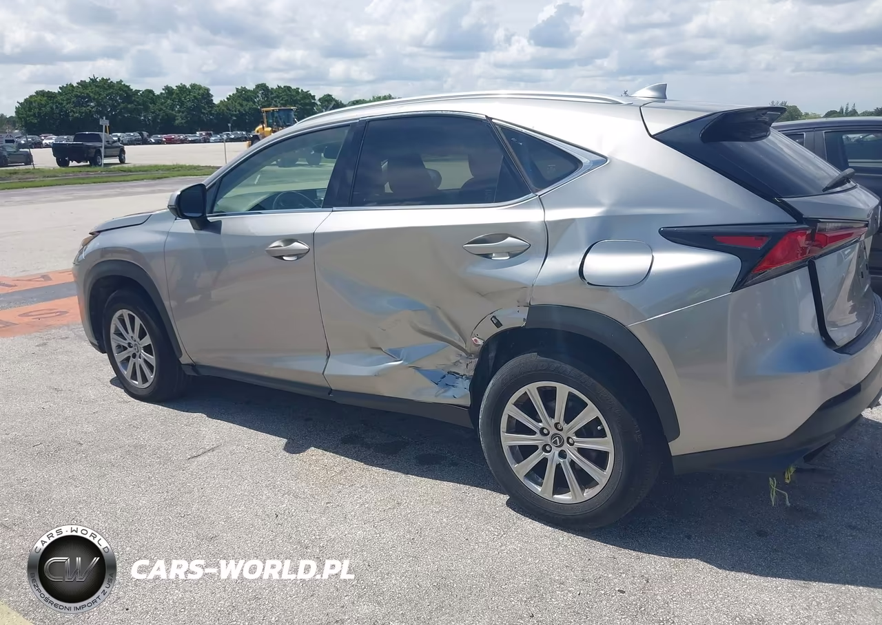 2020 Lexus Nx 300 Base VIN:JTJAARDZ8L5015977 - 6